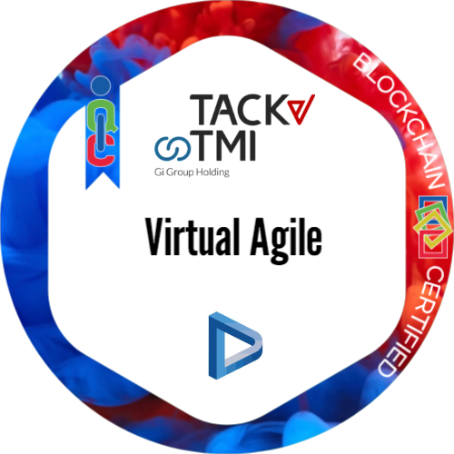 Virtual Agile